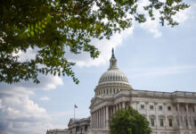 Cripto has a warning for the Senate
