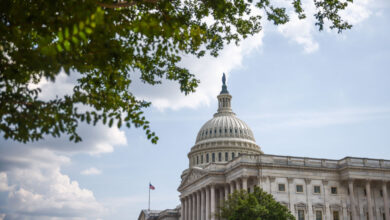 Cripto has a warning for the Senate