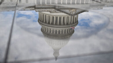 Crypt's basis on the hill