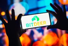 Crypto Mining Companyer in the first quarter 2025 performance review and investment advice