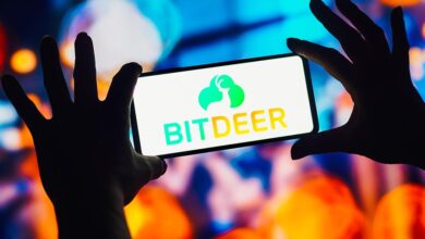 Crypto Mining Companyer in the first quarter 2025 performance review and investment advice