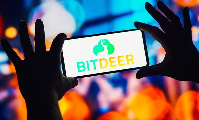 Crypto Mining Companyer in the first quarter 2025 performance review and investment advice 1 Crypto Mining Companyer in the first quarter 2025 performance review and investment advice