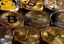 Current currency in wealth management, transit direction or here to survive