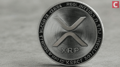 Dave Portnoy sexy XRP problems - Bitcoin expectations