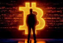 Do you mining the coding profit? 12 the most reliable cloud mining platform with daily payments in 2025