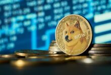 Dogecoin 27 % rises while Bitcoin climbs towards the highest levels ever