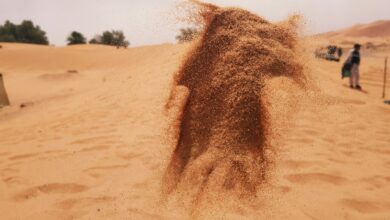 "Dry powder" can mean great prices