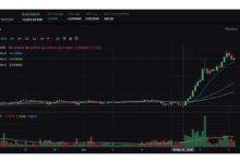 Bibit Cripto Insights: Timing Eth's Bull Run