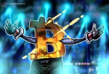 EX-Ufc Champion Conor McGregor accumulates the Irish bitcoin reserves in a presidential attempt
