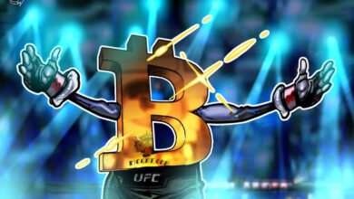 EX-Ufc Champion Conor McGregor accumulates the Irish bitcoin reserves in a presidential attempt