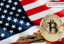 Here is how Bitcoin can interact