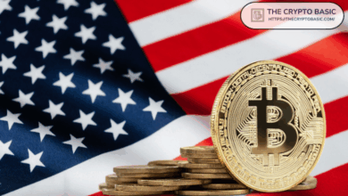 Here is how Bitcoin can interact
