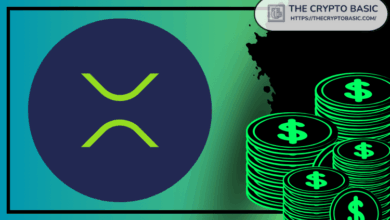 Here is how necessary to the top of the XRP Rich menu, the analyst insists that 99 % will not do it