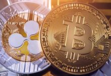 How to start Crypto Cloud mining without purchasing devices
