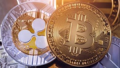 How to start Crypto Cloud mining without purchasing devices
