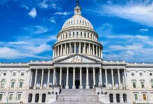 Cripto Wonks Brothers for a long, hot summer as stablecoin and market accounts stuff - DL News