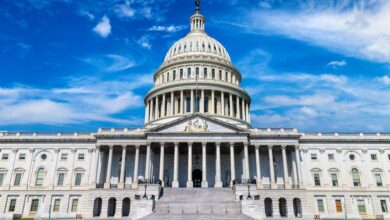 Cripto Wonks Brothers for a long, hot summer as stablecoin and market accounts stuff - DL News