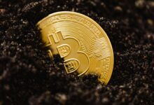 Liquidity mining collects with Goming: A simple guide to earning encryption