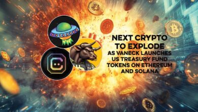Next Crypto Bang while VNECK calls the US Treasury Fund on ETAREUM and Solana