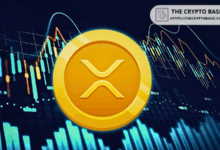 Pundit 5 defines the next steps to continue the XRP boom, but there is hunting