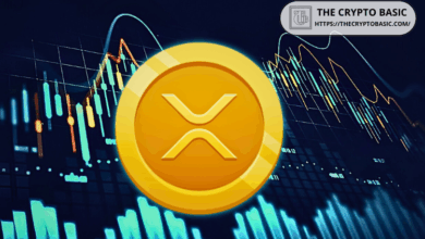 Pundit 5 defines the next steps to continue the XRP boom, but there is hunting