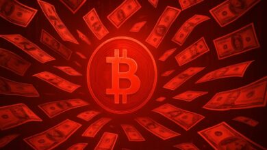 Reflection of the small direction of Bitcoin etfs
