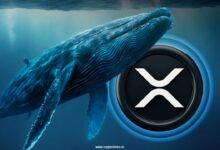 Send XRP Whale $ 64 million to Coinbase; Crazy to $ 2?