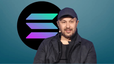 The co -founder of Solana Blockchain proposes the chain through the series