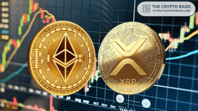The expert predicts the extent of XRP if Ethereum reaches 10,000 dollars