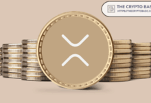 The expert says that most people will never have up to 1000 XRP