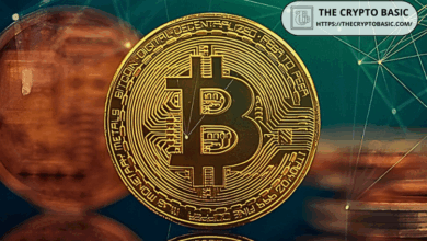 The legal financial analyst reveals the amount of bitcoin you need to retire for $ 100,000 annually