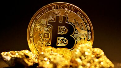 The price of bitcoin confirmed the local bottom, as all indicators are rising, where is the price of the price?