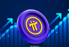 The price of the PI jumps by 12 % after May 14 of the ecosystem update