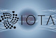The revolutionary IOTA combines Movevm and EVM for the developmental Blockchain security