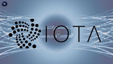The revolutionary IOTA combines Movevm and EVM for the developmental Blockchain security