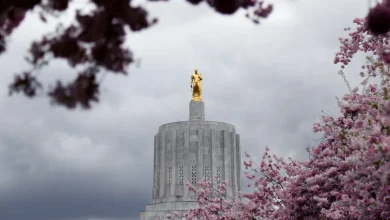Three new draft laws at the state level in the United States took place in the law