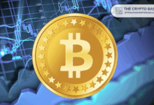 Top Pundit says that Bitcoin fully has "ridiculous" within a few years