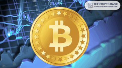 Top Pundit says that Bitcoin fully has "ridiculous" within a few years
