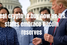 The best cripto will now shop while US State accepts Bitcoin reserves - DL News