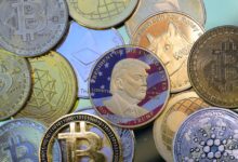 What is Trump's common denominator and encryption