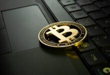 What the marketing can be learned from the cryptocurrency sector