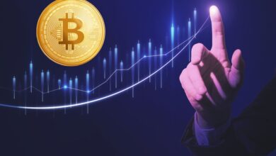 Why does Bitcoin rise today?