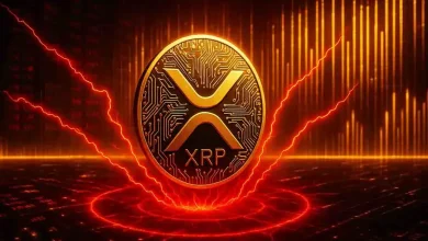 Win a negative income every day - Start a journey of coding mining with mining profit