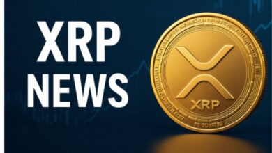 XRP Price Chart indicates the main bullish trend; Is the 500 % collapse on the horizon of XRP, XLM and RTX?