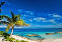 Dreams Maldives turn cripto to solve the mounting of the long-term crisis