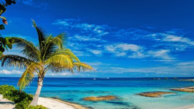 Dreams Maldives turn cripto to solve the mounting of the long-term crisis