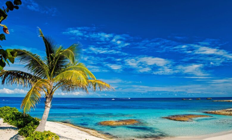 Dreams Maldives turn cripto to solve the mounting of the long-term crisis 1 Dreams Maldives turn cripto to solve the mounting of the long-term crisis