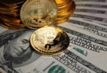 Cripto Elite is more and more worried about your personal security