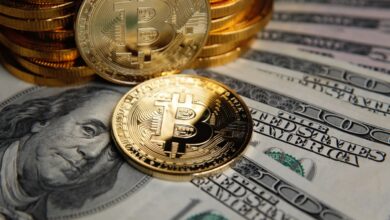 Cripto Elite is more and more worried about your personal security