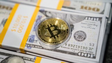 Senate Democrats block on the first type of law regulating cryptocurrency in the middle of concern about Trump crypto business